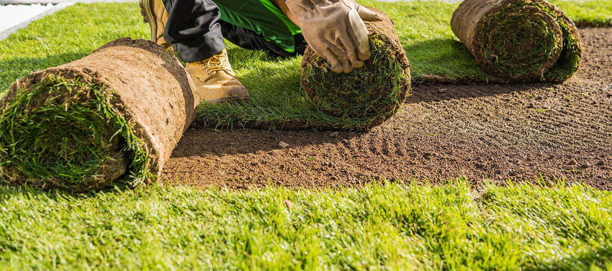 sod-install Eddie's Sod