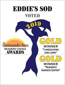 Eddie's Sod Hernando Sun Award