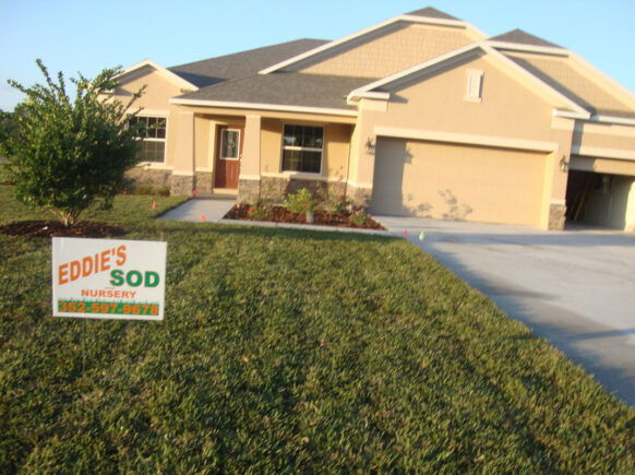 Eddie's Sod