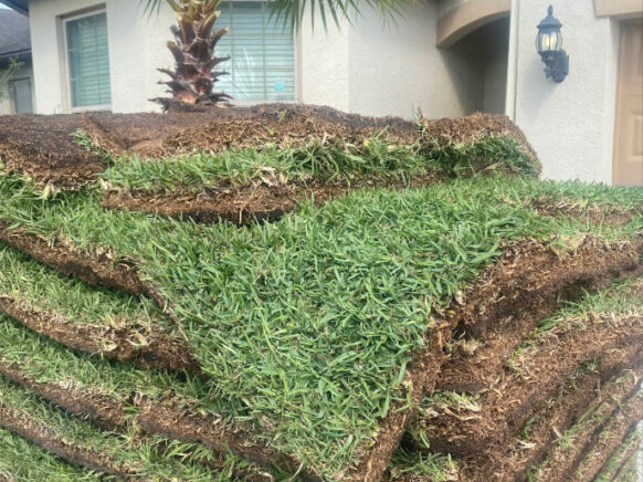 Eddie's Sod