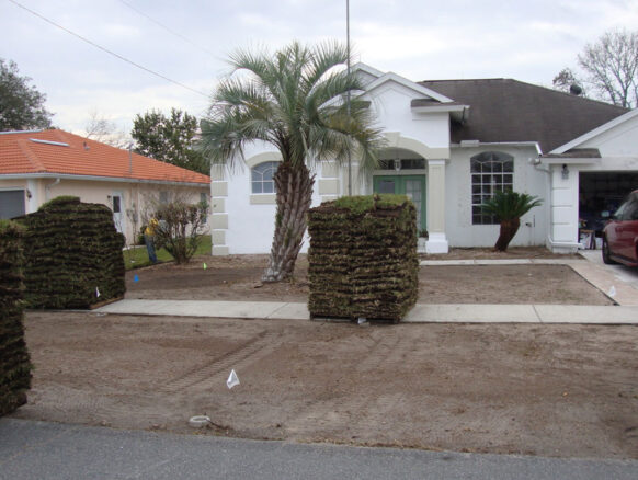Eddie's Sod