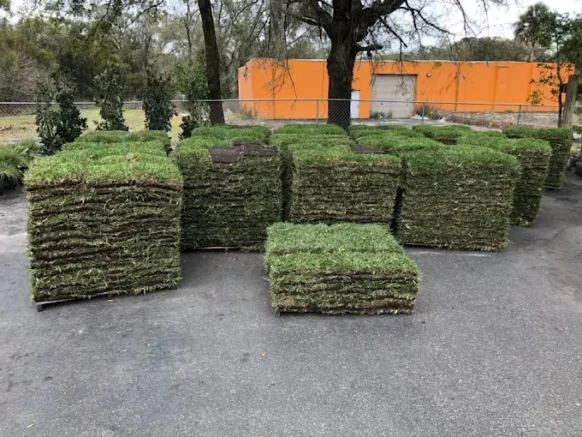 Eddie's Sod